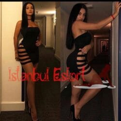 Ataşehir Escort