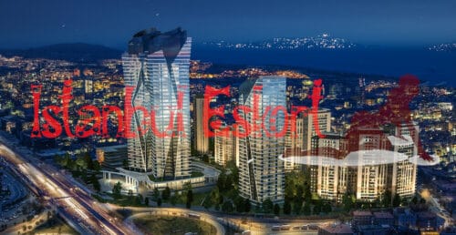 Küçükyalı Escort Nidapark